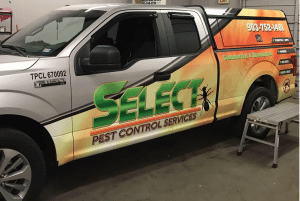 pest-control-company-tyler-tx