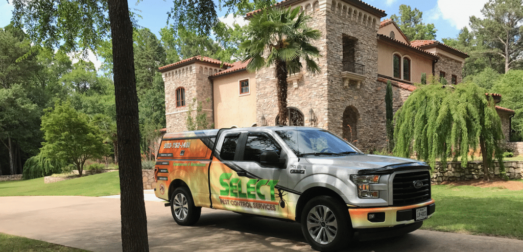 Select Pest Control Services offer to best pest control near you!